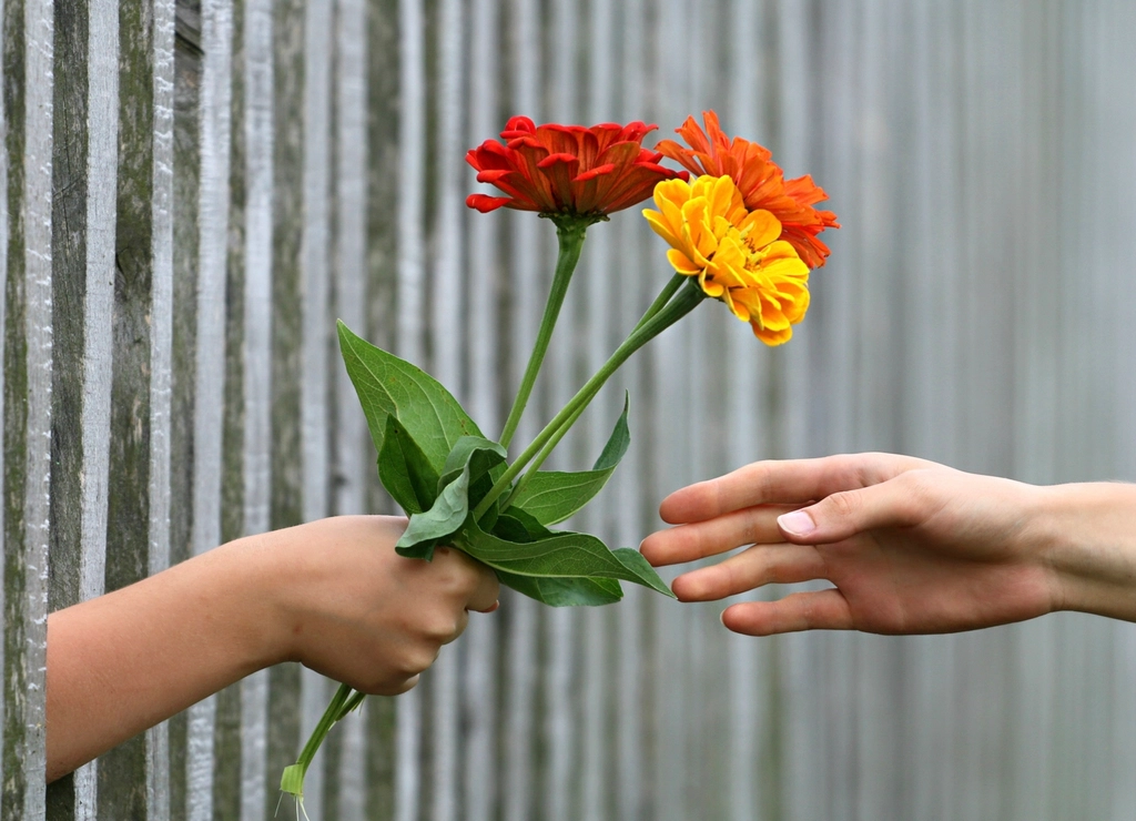 One hand offering a small bunch of bright flowers to another hand